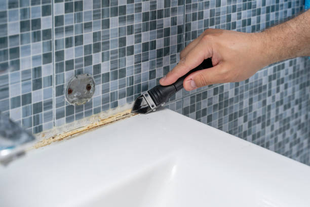 Best Commercial Mold Removal  in Mary Esther, FL