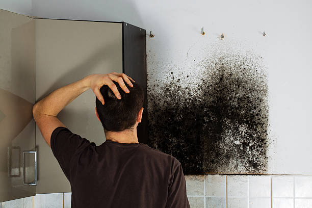Mold Testing and Removal in Mary Esther, FL